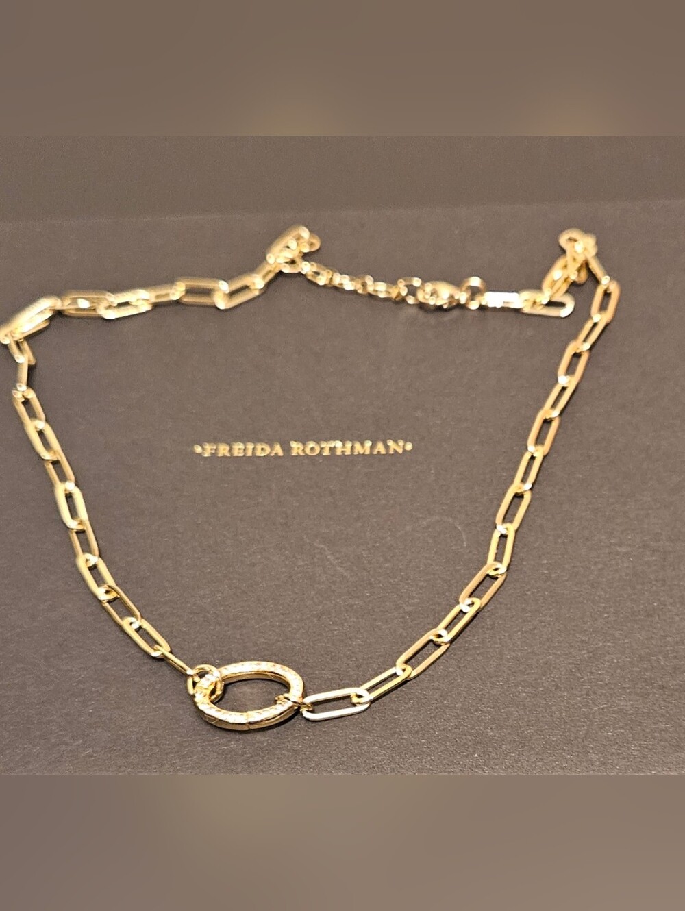 Freida Rothman Gold Paperclip Necklace with Textured Oval Ring